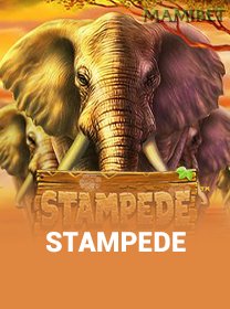 Stampede